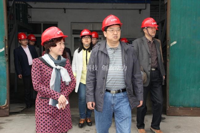 yp街机电子科技承担“陕西省重大科技创新项目”通过验收