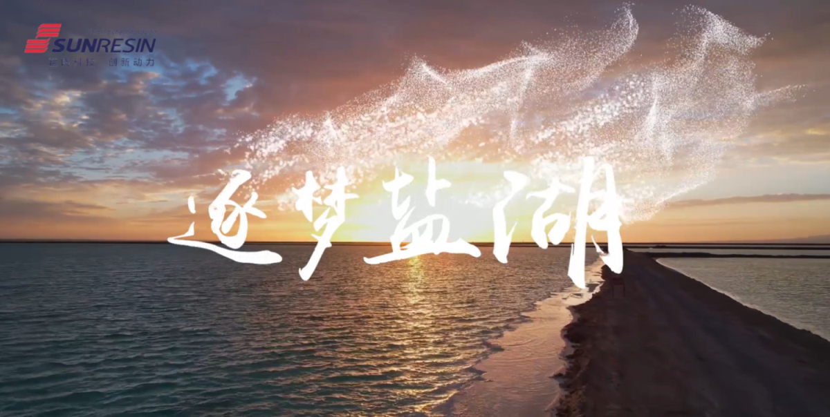 披荆斩棘逐梦，锲而不舍创新----yp街机电子科技盐湖提锂技术之青？